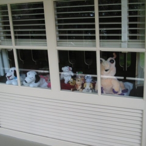 Toys in window at POR