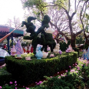 Alice topiary.