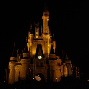 Cinderella's Castle at night