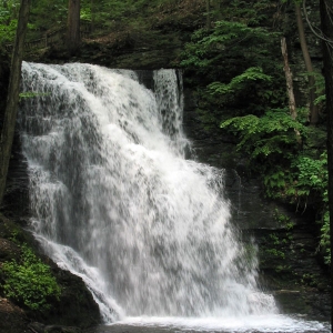 Bushkill Falls 4