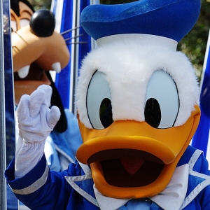 Donald Duck in the MK parade