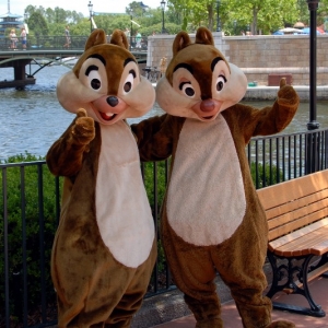 Greetings from Chip n Dale