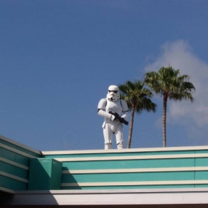 Look Who Took Over Security At Disney's Hollywood Studios
