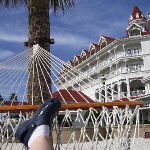 View from a Hammock!