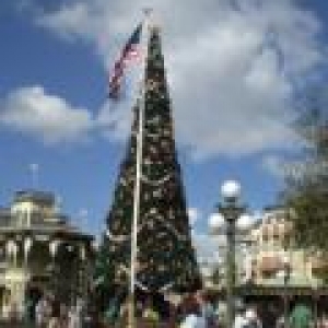 Patriotic View of Christmas Tree at MK