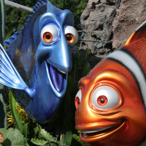 Finding Nemo.......