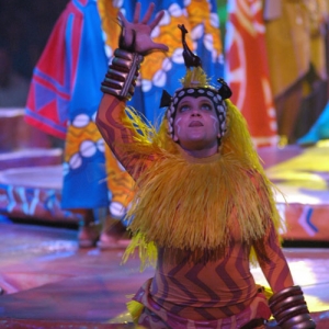 Festival of The Lion King Show