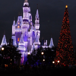 Cinderella Castle w/Christmas Tree 2007