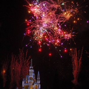 Wishes From Within MK