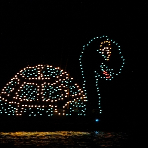Electrical Water Pageant turtle