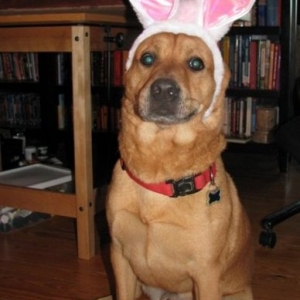 max_easter