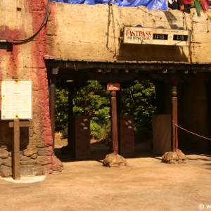 Expedition_Everest_19