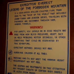 Expedition_Everest_Train_02