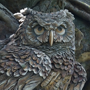 ToL Owl