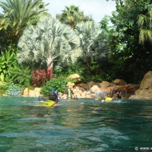 Discovery_Cove_Tropical_Pool_07