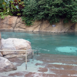 Discovery_Cove_Tropical_Pool_14