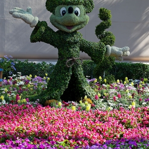 Sorcerer Mickey topiary
