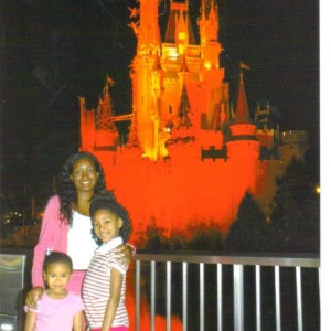 Cinderella Castle At Night