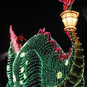 Disney's Electrical Parade 24
