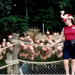 Judy As A Flamingo