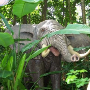 Jungle Cruise Elephant