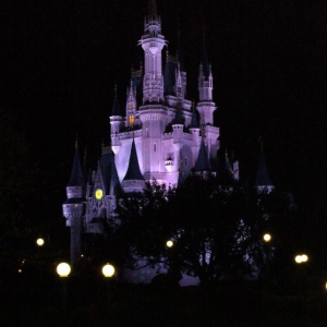 The Purple Castle