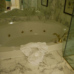 Jacuzzi tub Master Bath