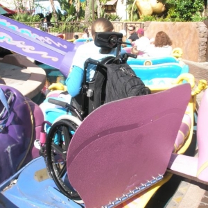 Magic Carpets of Aladdin wheelchair loading 2