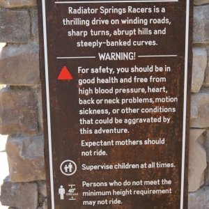 Radiator-Springs-Racers-004
