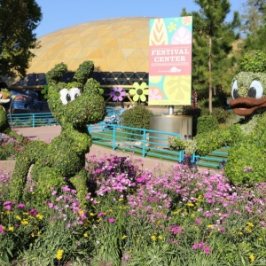 Epcot-Flower-Garden-2013-112