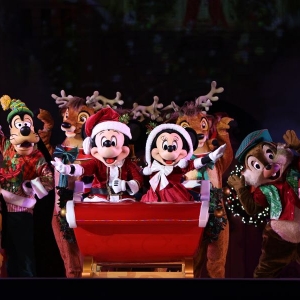 Mickeys-very-merry-christmas-party-2016-046