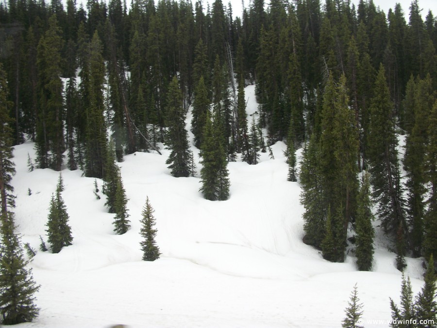 6-Yellowstone-Snow-004