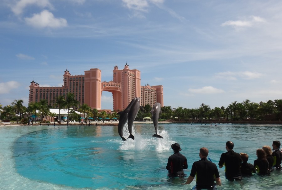 Atlantis Dolphin Adventure