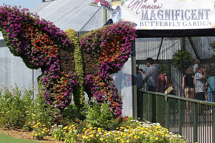 Butterfly topiary