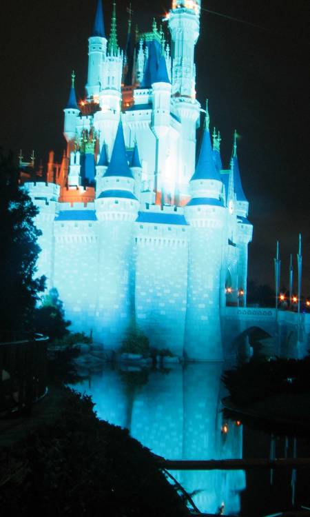 Cinderella Castle 2008