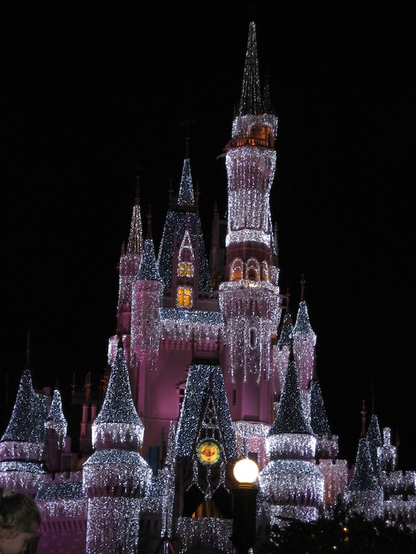 Cinderella Castle at night