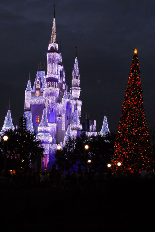 Cinderella Castle w/Christmas Tree 2007
