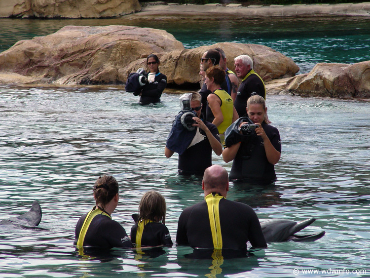 Discovery_Cove_Dolphin_Encounter_18