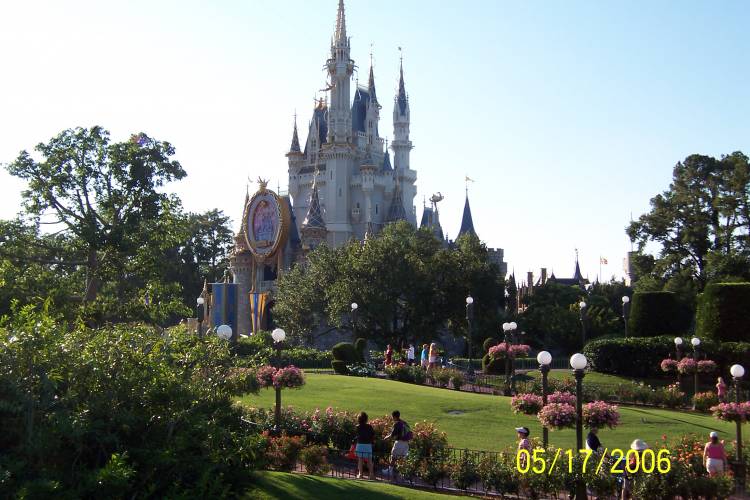 My Favorite Pics of the Castle