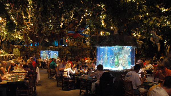 Rainforest Cafe Dining Area