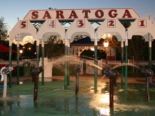 Saratoga Springs-New Pool