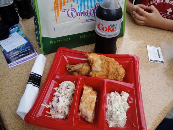 woc picnics american 1