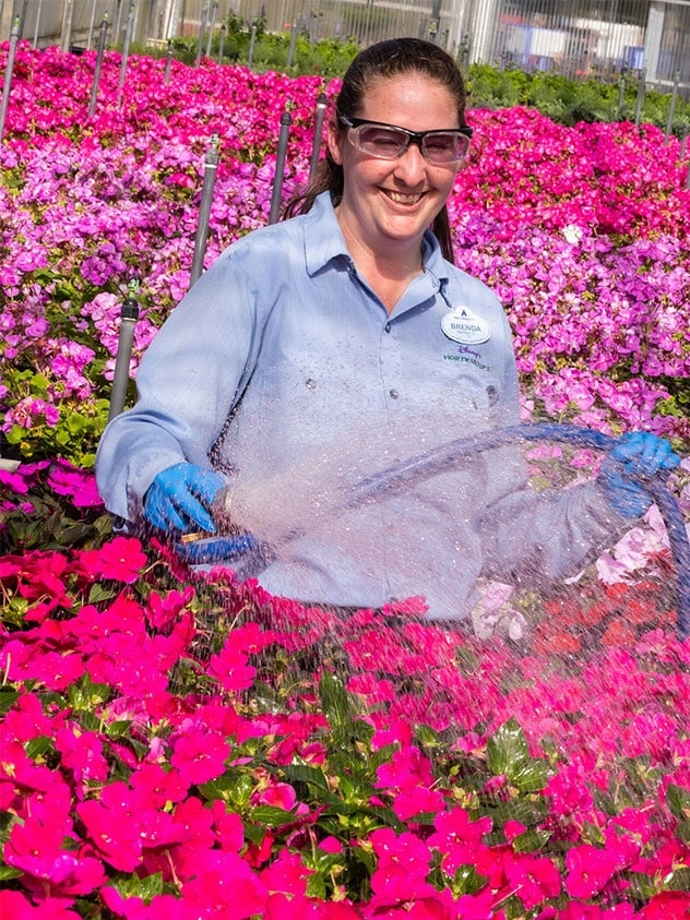 EPCOT cast member watering flowers for the EPCOT International Flower & Garden Festival