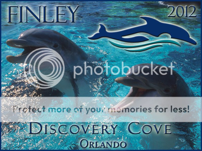 finley_discoverycove.jpg