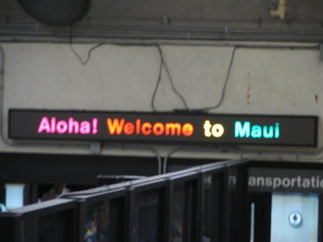 Hawaii813.jpg