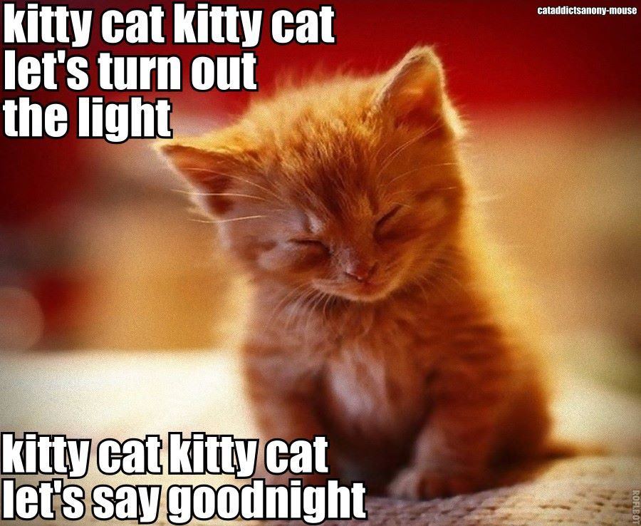 good_night_kitty.jpg