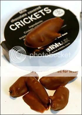 chocolate_crickets__461377a.jpg