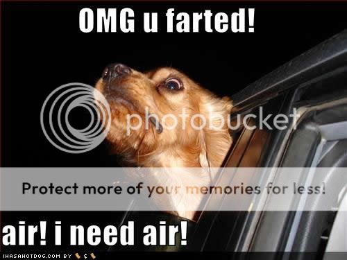 funny-dog-pictures-omg-farted.jpg