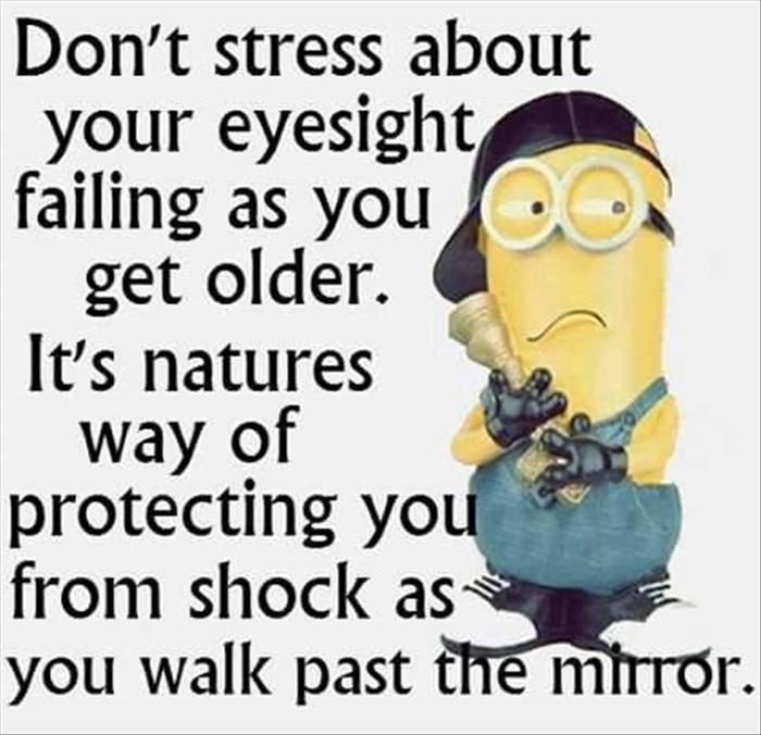 Image result for minion funnies