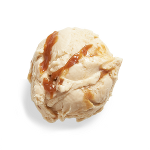 DairyFree-2023-January-Fosters-Scoop-Silo_300x300.png